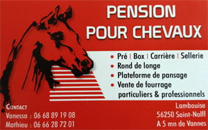 pension_chevaux